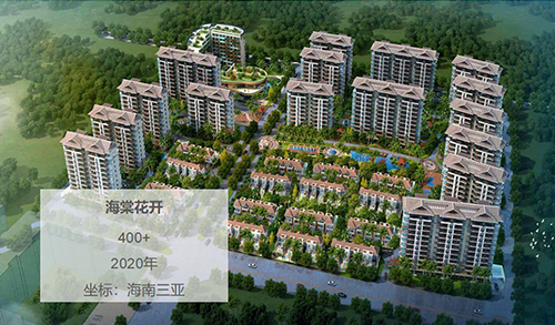 海南三亞-海棠花開